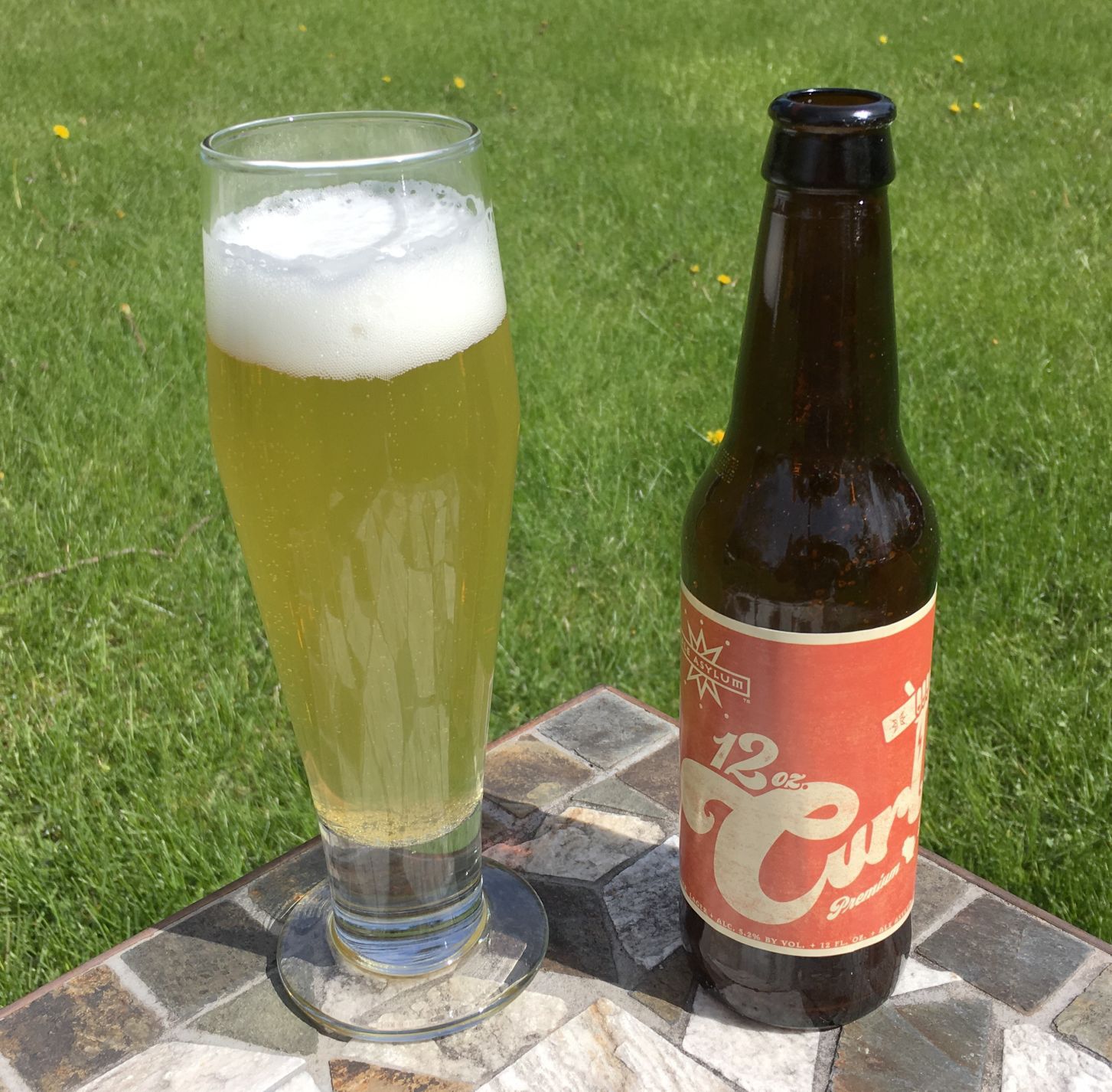 Ale Asylum 12 oz. Curl